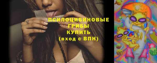 прущая мука Дмитровск