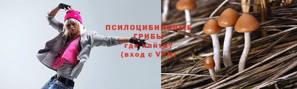 стафф Гусиноозёрск