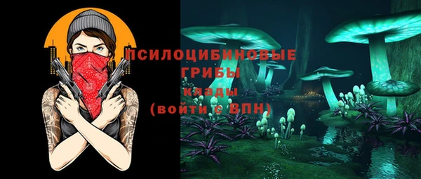 стафф Гусиноозёрск